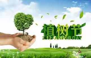 《绿化家园·保护地球》——逢春岭中心幼儿园2021年春季学期3·12植树节主题活动