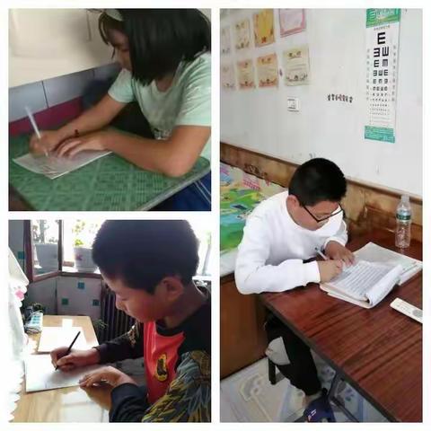 假期学习与实践活动