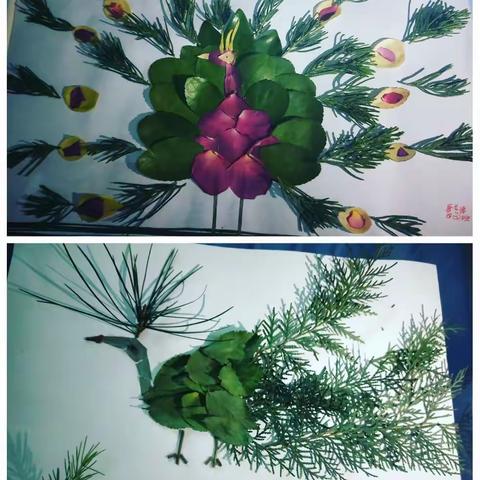 美丽的大千世界