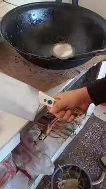 杭锦后旗双秀实验学校三一班《杨子辰》第36期寒假孝心作业