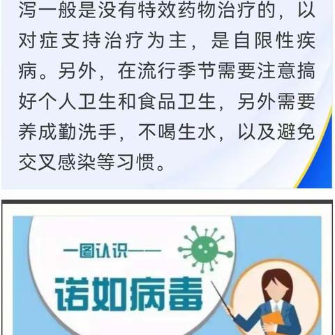 沛县安国镇朱王庄中学诺如病毒防控指南