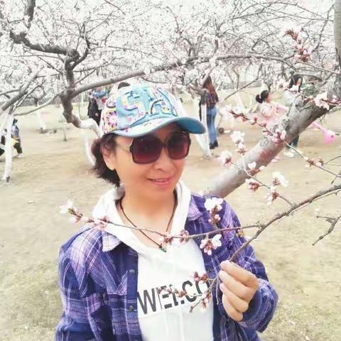 人面桃花🌸 相映红……