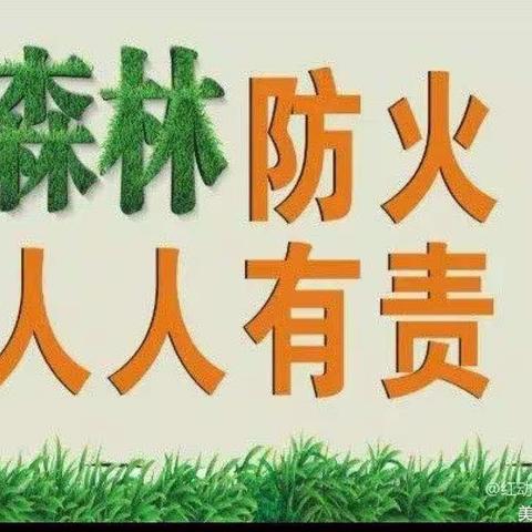 【森林防火 人人有责】——湘教欢乐童年幼儿园森林防火知识宣传