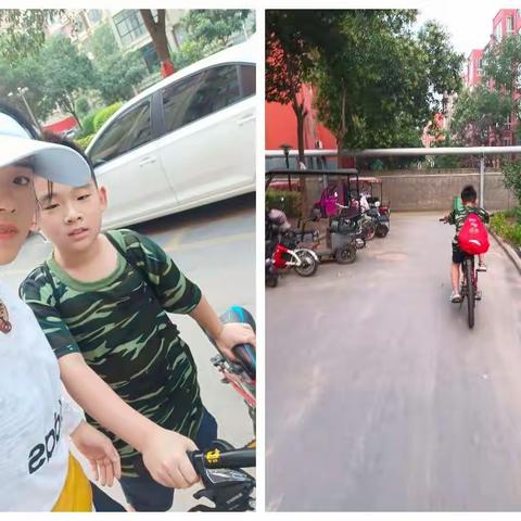 我的成长报告