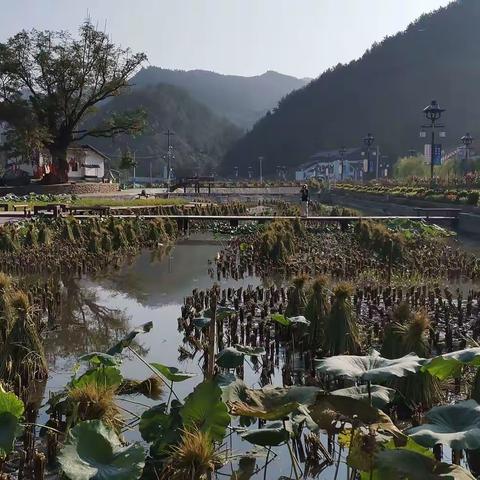 秋日采风行