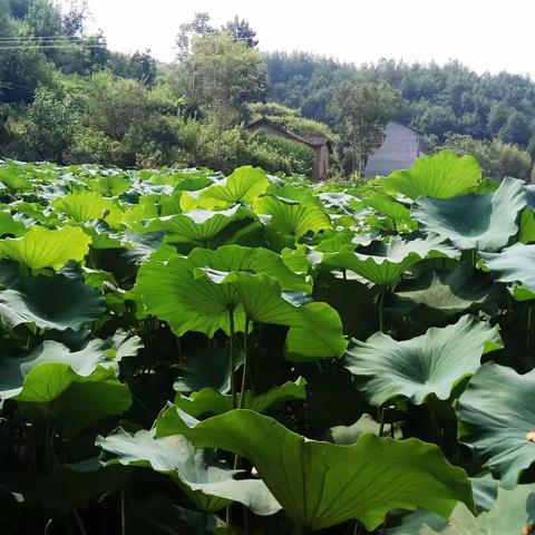 山重水复疑无路，柳暗花明又一村———我的读书故事