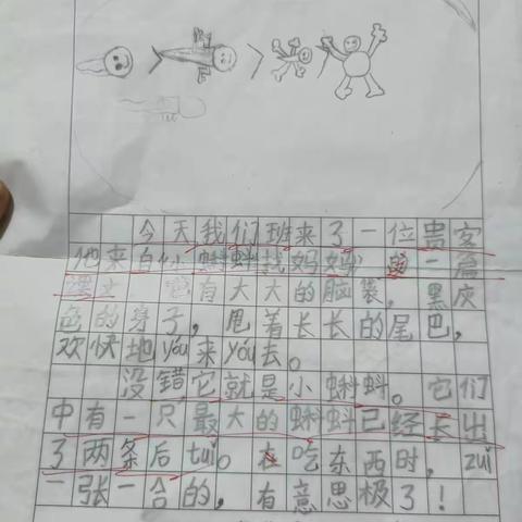 快乐小蚂蚁写吧写吧——小蝌蚪