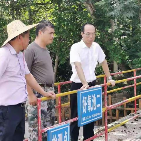县委符鸣书记、县政府李锋县长带队深入提蒙乡开展工作调研