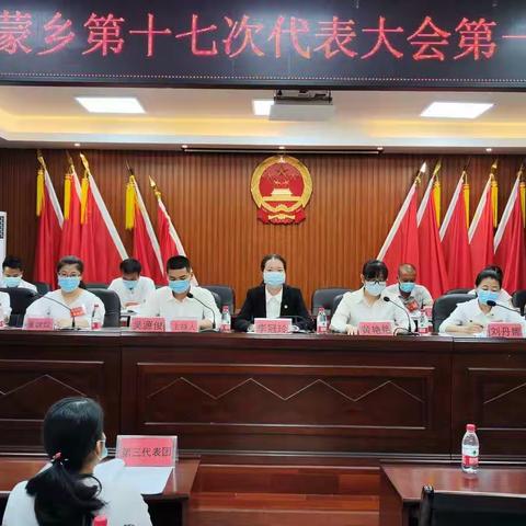 共青团提蒙乡第十七次代表大会顺利召开