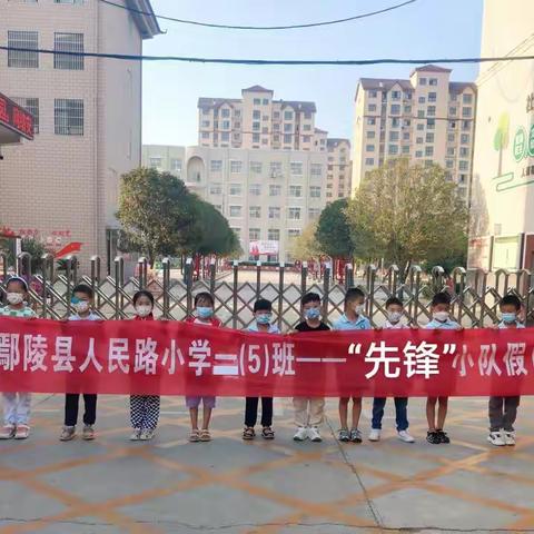 认识树木，亲近自然，鄢陵县人民路小学二五班“先锋”小队