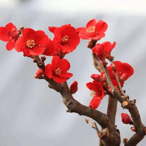 学先    悟道    修行