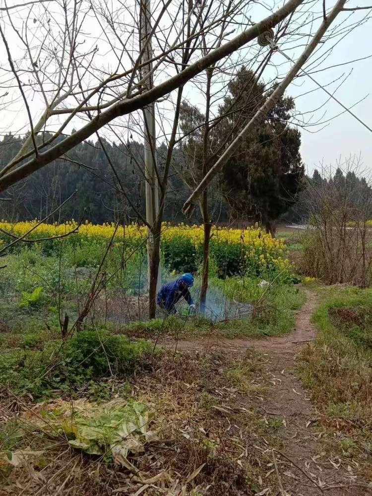 负责区域:芦葭镇芦葭场镇、力士村、民乐村
