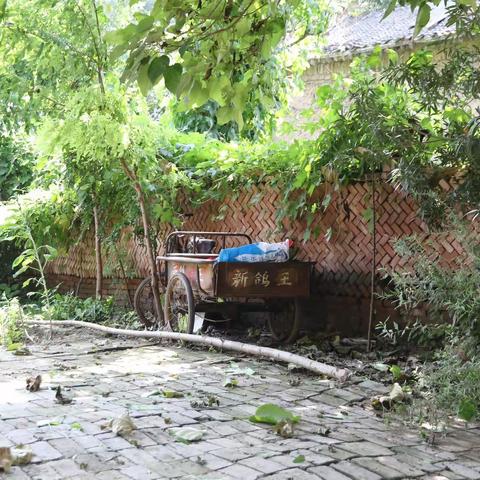 母亲河五大支流之一的沁河岸边的人家——第一站