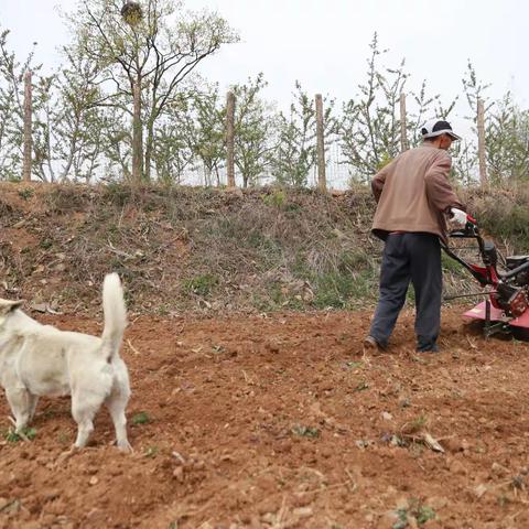 走进大山深处，简单栖息