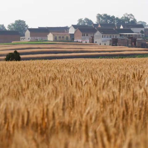 山西古村碾槽洼村到底是什么吸引着四方来客？