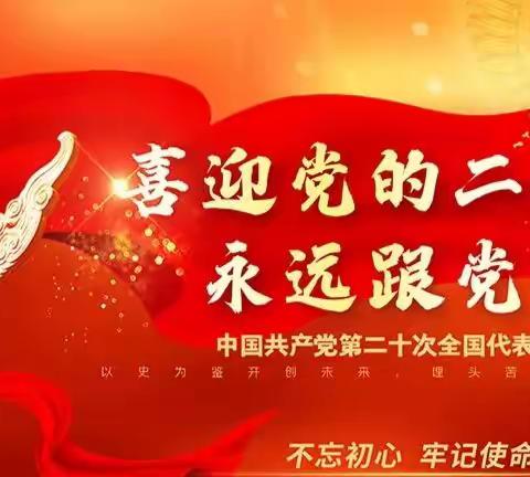 艺术团喜迎二十大感言集锦