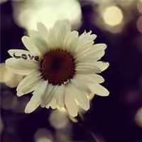 找回，那一抹亮丽