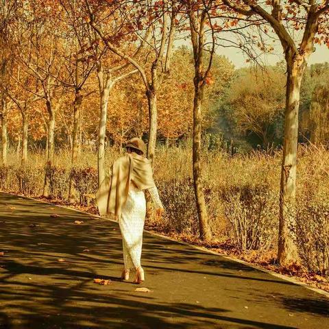 秋色与我洗肺养颜