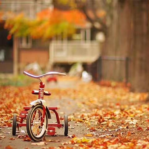 从秋天走向远方