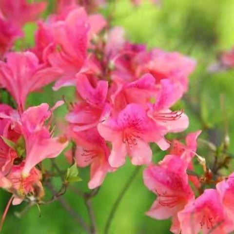 点点滴滴皆有美