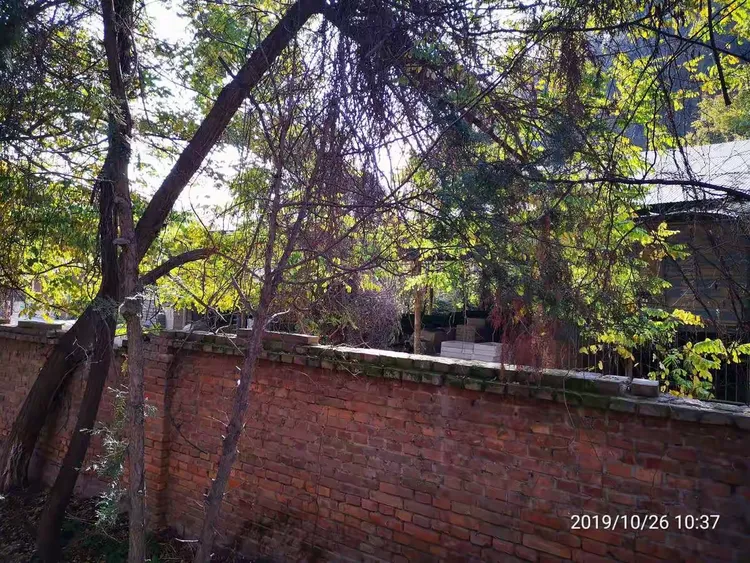 荒废的场地，一派没落破败景象。