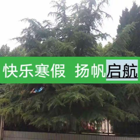 如青松一样成长——北马学校2022年寒假学生成长活动