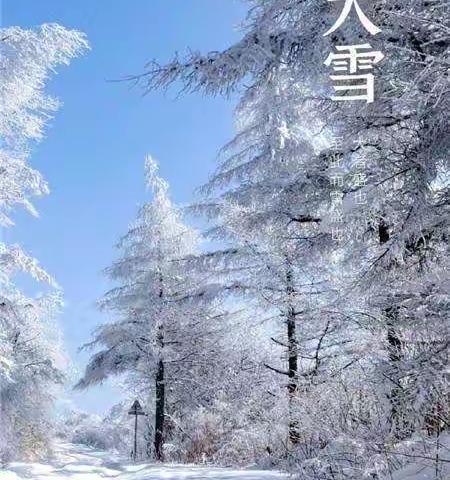 踏雪寻薯🍠乐无穷——北街小学一年级（1）班二十四节气之“大雪”