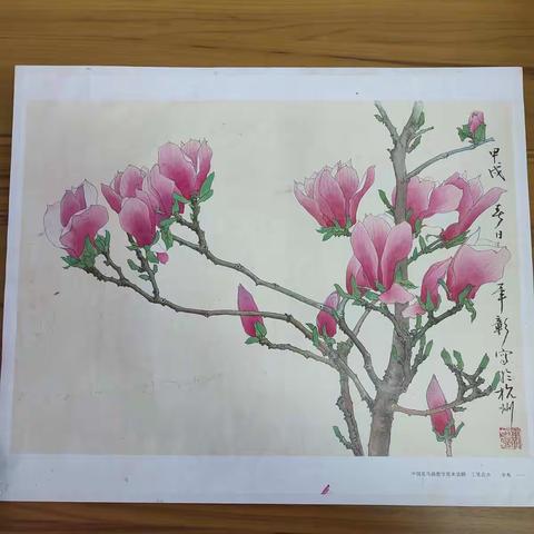我们开始学习中国画了