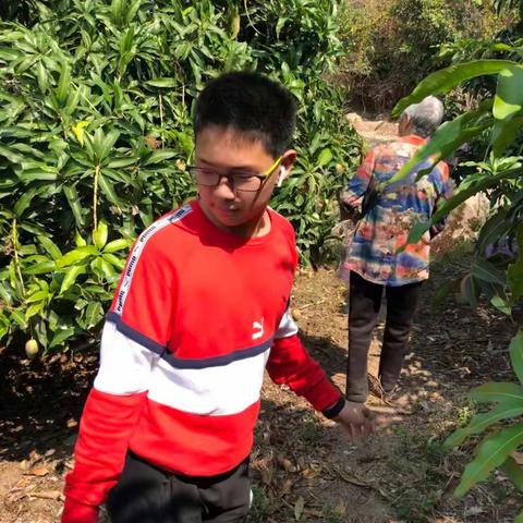 社会实践之——我与果树的亲密接触
