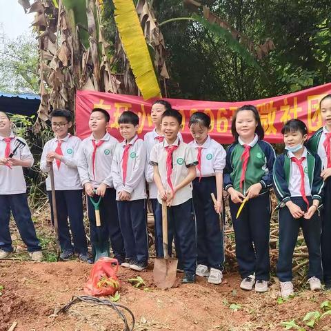 寻找春味    寻找快乐    ——东环小学1806班微社团活动