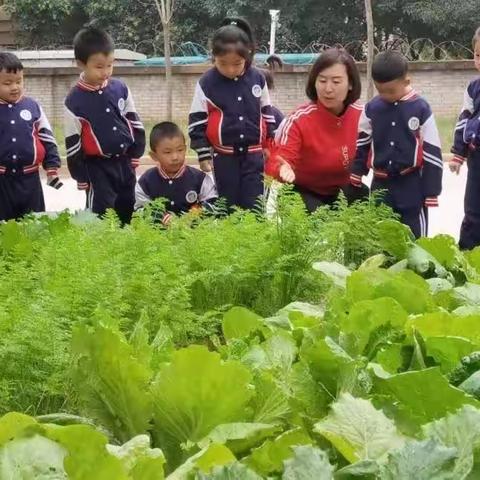 快乐过暑假，“安全”不放假——三门峡市实验幼儿园暑期安全温馨提示