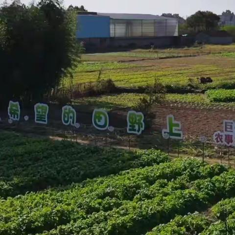 你农我农农“趣”探索——记巨化三小一（5）班农事基地实践