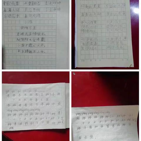 美篇用户的美篇