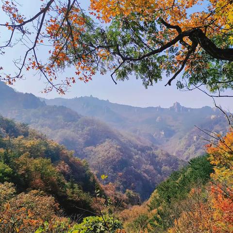 喜迎二十大，奋进新征程——福州南路支行登山活动