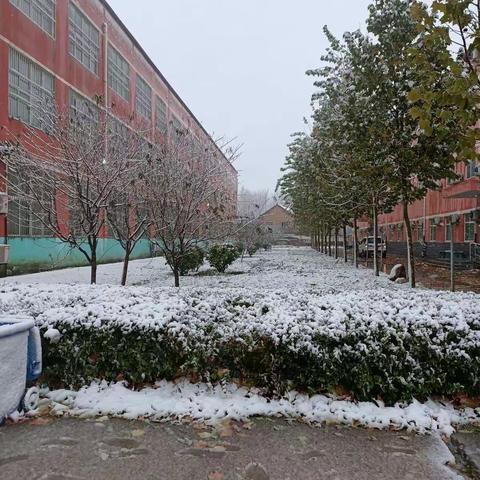 雪落成诗——记平中2021立冬美景