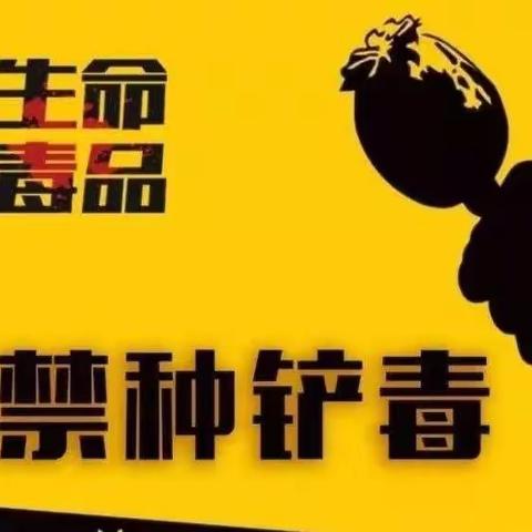 丰润镇：筑牢禁毒防线，守护万家平安