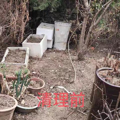 绿地杂物卫生清理