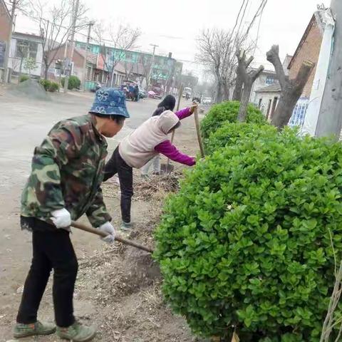 八户庄村冒雨不间断组织清理街道环境