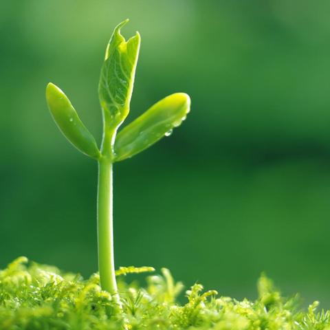 没想到弄了个你造谣