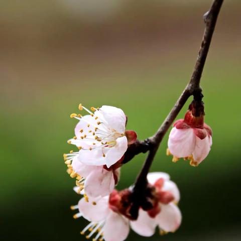 跟着俺娘去赶集