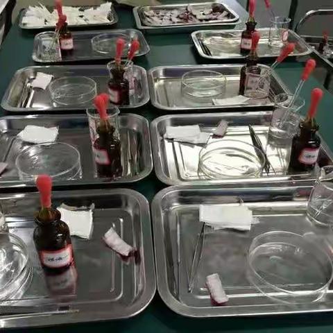 2019年昆明市五华区沙朗民族实验中学七年级植物细胞教学质量分析报告（主讲教师：张玉代）