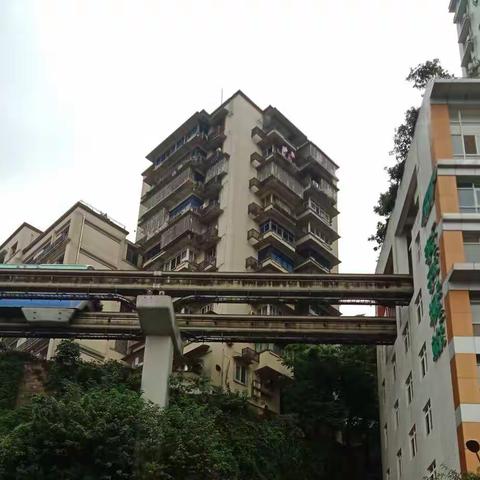 美篇用户的美篇