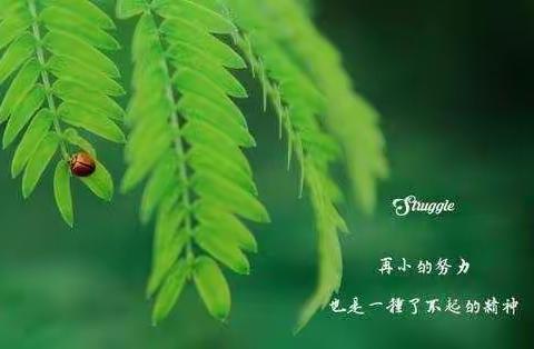 停课不停学，止步不止修——一部高二线上教学记录