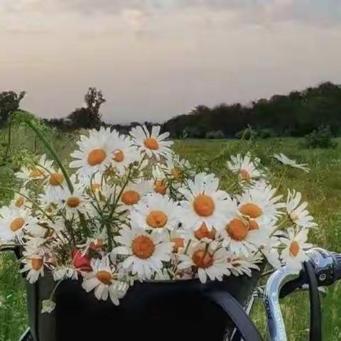 示范引领，绽放精彩，师道传承，匠心育人——浚县一中一部高二骨干教师复习样板课展示活动