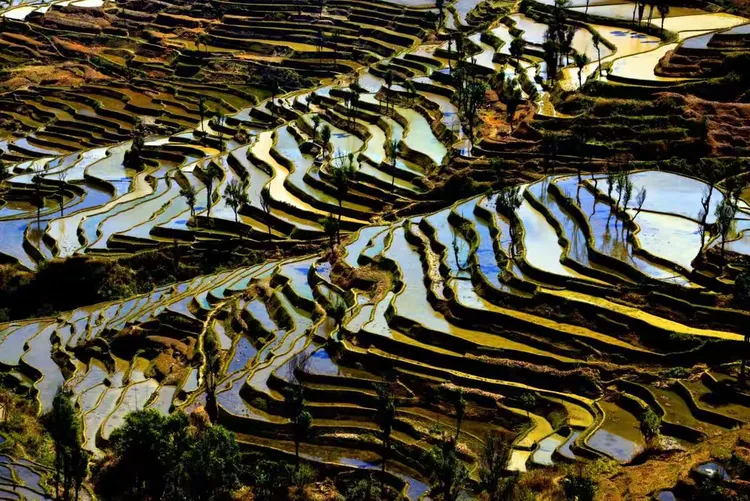 行摄彩云之南(四)哈尼梯田