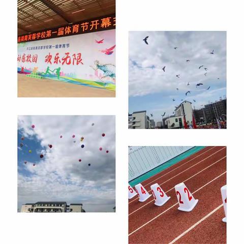 动感校园，快乐14班                                 ——简青芙蓉学校校运会