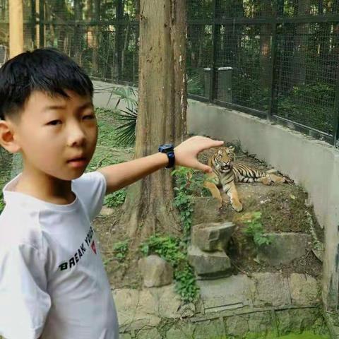 美篇用户的美篇