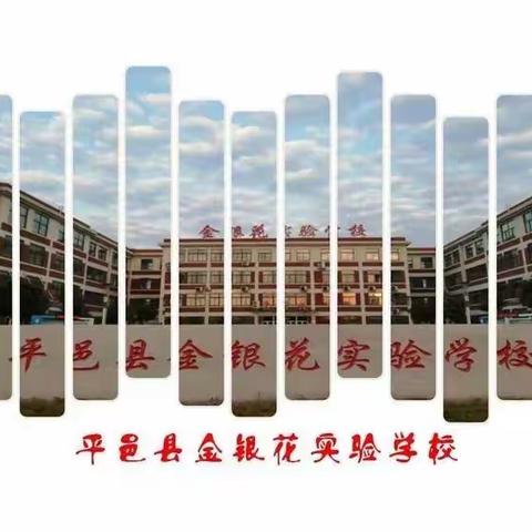 你读书的样子最美——金银花实验学校一年级9班“我爱阅读”优秀视频锦集