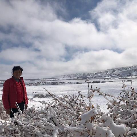 “风雨送春归    ，飞雪迎春到”