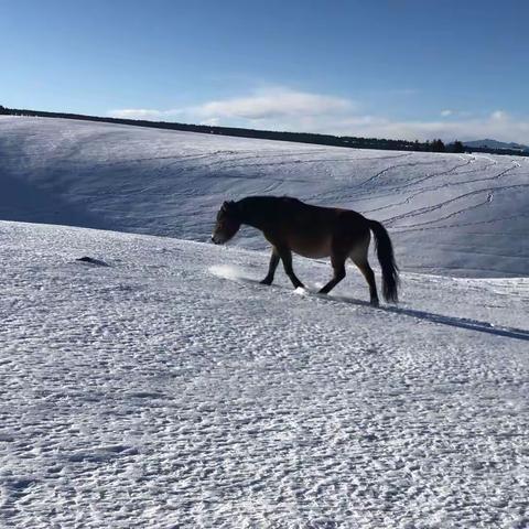 环南山赏雪景